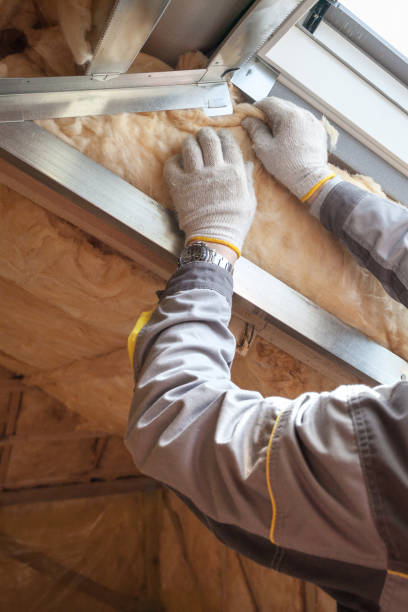 Best Insulation Maintenance and Repair in Newark, TX