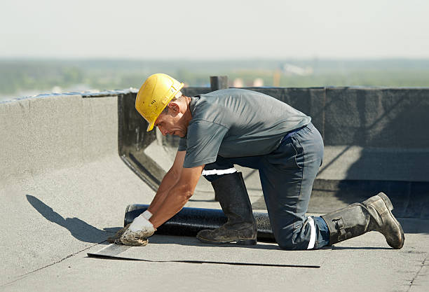 Best Eco-Friendly Insulation in Newark, TX