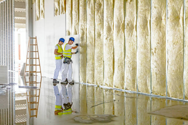 Best DIY Insulation Kits and Guidance in Newark, TX
